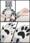  5_fingers blue_eyes breasts comic felid female fingers fur grey_body grey_fur hi_res human_to_feral mammal naturally_censored oter pantherine pawpads simple_background snow_leopard solo species_transformation spots transformation whiskers 