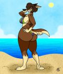  anthro beach bikini blue_eyes breasts brown_body brown_fur butt canid canine canis clothing female fur hair half-closed_eyes hi_res looking_at_viewer lucy_lupa mammal narrowed_eyes nude seaside smile solo swimwear thick_thighs unclescooter wolf 