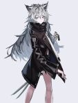  2019 3:4 absurd_res animal_humanoid arknights canid canid_humanoid clothing female hair hi_res humanoid jacket kit_11 lappland_(arknights) long_hair looking_at_viewer mammal mammal_humanoid melee_weapon silver_hair simple_background smile solo sword topwear weapon white_background 