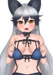  1girl :d absurdres animal_ear_fluff animal_ears bangs bikini black_hair blue_bikini breasts brown_eyes clothes_in_front collarbone deku_suke extra_ears eyebrows_visible_through_hair fang fox_ears gradient_hair grey_hair hair_between_eyes highres japari_symbol kemono_friends long_hair multicolored_hair navel nude open_mouth silver_fox_(kemono_friends) simple_background small_breasts smile solo swimsuit upper_body very_long_hair white_background 