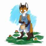  1:1 apple brown_hair canid canine clothed clothing dipstick_tail food fox foxenawolf fruit fur gloves_(marking) hair leg_markings male mammal markings multicolored_tail orange_body orange_fur plant socks_(marking) solo yohriann young 