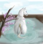  absurd_res ambiguous_gender blue_eyes butt cherry_blossom cloud cloudscape day equid equine feral hi_res horse mammal mane peaceful plant rear_view ryxinel sky solo water wave white_body white_mane white_skin white_tail wind 