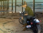  anthro beach boots canid canine canis clothing dobermann domestic_dog footwear hi_res male mammal motorcycle pinscher seaside solo thehuntingwolf vehicle 