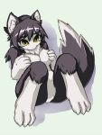  2010 3:4 anthro breasts canid female fur grey_body grey_fur hand_on_breast inner_ear_fluff looking_up mammal nude sakamata_orca simple_background solo tuft white_background yellow_eyes 
