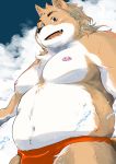  2020 anthro belly black_nose brown_body brown_fur canid canine canis clothing domestic_dog fur hi_res kemono male mammal moobs nipples overweight overweight_male shintatokoro solo swimwear white_body white_fur 