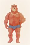  2020 absurd_res anthro belly brown_body brown_fur bulge clothing fur heylaw21 hi_res kemono male mammal moobs overweight overweight_male simple_background solo underwear ursid 