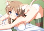  1girl ahoge animal_ears areola_slip areolae ass bangs bare_shoulders bed blue_eyes blush bra braid breasts brown_hair cat_ears cat_tail cleavage collarbone eyebrows_visible_through_hair green_neckwear hair_ribbon isa_(ni-iro) large_breasts long_hair looking_at_viewer lynette_bishop necktie panties ribbon shiny shiny_hair shiny_skin strike_witches striped striped_legwear tail thighhighs underwear white_bra white_panties world_witches_series 