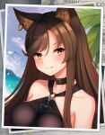  1girl animal_ear_fluff animal_ears arknights bangs bare_shoulders black_choker black_swimsuit breasts brown_eyes brown_hair cat_ears choker earrings eyebrows_visible_through_hair hair_between_eyes highres jewelry kaleid large_breasts long_hair looking_at_viewer o-ring o-ring_swimsuit photo_(object) skyfire_(arknights) solo swimsuit upper_body 