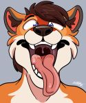  anthro bodily_fluids canid canine drooling feroxdoon fox hi_res male mammal mouth_shot open_mouth red_fox saliva saliva_on_tongue saliva_string shadypixel solo teeth tongue tongue_out 