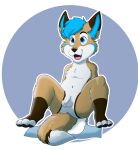  absurd_res anthro baltnwolf_(artist) canid canine diaper fox hi_res male mammal 