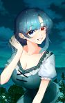  1girl absurdres adapted_costume blue_hair blue_shirt breasts cleavage cloud commentary eyebrows_visible_through_hair heterochromia highres large_breasts looking_at_viewer plant saple shirt short_sleeves sky smile solo tatara_kogasa touhou wet wet_hair wringing_hair 