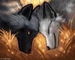  2020 black_body black_fur canid canine day detailed_background digital_media_(artwork) duo flashw fox fur grass grey_body grey_fur mammal outside red_fox silver_fox smile yellow_eyes 