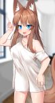  2020 animal_humanoid blue_eyes blurred_background breasts brown_hair canid canid_humanoid corin female hair hi_res humanoid inside long_hair looking_at_viewer mammal mammal_humanoid nipple_outline oversized_shirt smile solo window 