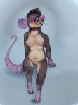  (character) absurd_res anthro breasts discon discon_rat disconrat female genitals hi_res hypno_(disambiguation) hypnosis mammal mind_control murid murine nipples pussy rat rats rodent sitting solo 