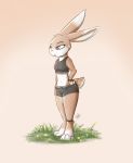  2019 anthro barefoot bottomwear bracelet brown_body brown_fur clothed clothing crop_top female flower fully_clothed fur grass head_tuft hi_res hotpants jewelry lagomorph leporid louart mammal plant rabbit shirt shorts simple_background solo standing topwear tuft white_body white_fur 