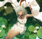  1girl animal_ears arknights arm_up armpits bangs beeswax_(arknights) blush closed_mouth collarbone commentary_request dark_skin dress expressionless eyebrows_visible_through_hair flower from_above holding horns koio lily_pad long_hair looking_at_viewer looking_up low_twintails ripples see-through shawl silver_hair sitting sleeveless sleeveless_dress soaking_feet solo twintails water wet wet_clothes wet_dress white_dress white_flower 