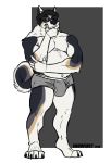  2018 4_toes 5_fingers anthro biped black_body black_fur black_hair black_nose briefs bulge canid canine canis claws clothed clothing digital_media_(artwork) digitigrade domestic_dog fingers front_view fur hair hi_res looking_at_viewer male mammal matt_(thefutureiseuro) molosser mountain_dog multicolored_body multicolored_fur musclegut muscular muscular_male newfoundland_dog overweight overweight_male pecs simple_background snoopjay2 snout solo standing tan_body tan_fur toe_claws toes topless underwear underwear_only white_body white_fur 