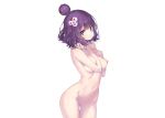  fate/grand_order fate_(series) hong_(white_spider) katsushika_hokusai navel nipples nude purple_hair pussy uncensored 