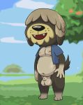  animal_crossing animal_genitalia anthro balls bottomless canid canine canis casual_nudity clothed clothing crushpepper domestic_dog fur genitals grey_body grey_fur hair_over_eyes herding_dog hi_res ineffective_clothing male mammal nintendo nipples outside pastoral_dog sheepdog shep_(animal_crossing) solo topwear vest video_games 