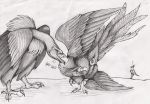  01phoenix01 2019 accipitriform ambiguous/ambiguous ambiguous_gender animal_genitalia avian bird cloaca defensive duo english_text european_mythology eye_contact feral genitals graphite_(artwork) greek_mythology looking_at_another monochrome mythological_avian mythological_firebird mythology on_one_leg outside pencil_(artwork) phoenix secretary_bird shaded standing text traditional_media_(artwork) vulture 