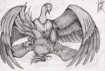  01phoenix01 2019 accipitriform ambiguous/ambiguous ambiguous_gender ass_up avian bird duo european_mythology feral graphite_(artwork) greek_mythology looking_aside looking_at_another looking_at_partner looking_pleasured lying monochrome mythological_avian mythological_firebird mythology on_front outside pencil_(artwork) phoenix raised_tail secretary_bird sex shaded spread_wings traditional_media_(artwork) vulture wings 