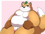  2020 absurd_res anthro belly blue_eyes blush brown_body brown_fur canid canine fox fur genitals hi_res kemono kusosensei leaf male mammal moobs nipples obese overweight overweight_male penis solo 