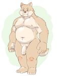  2020 anthro belly canid canine canis domestic_dog genitals hi_res humanoid_hands kemono kumao male mammal moobs navel nipples overweight overweight_male penis simple_background solo 