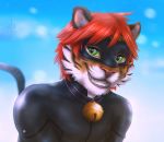  arthropod beetle bell bell_collar cat_noir clothing collar cosplay cucujoid felid green_eyes hair insect joshua ladybug male mammal mask miraculous_ladybug noir pantherine red_hair skinsuit smile solo tiger tight_clothing zen 