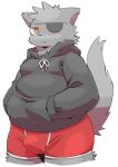  anthro boxer_briefs bulge clothing eye_patch eyewear felid feline hands_in_pockets hoodie looking_at_viewer male mammal pockets si_ra_ta_ma3 simple_background solo standing topwear underwear white_background 