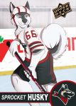 anthro big_tail blue_eyes bottomwear canid canine canis character_name claws clothing curled_tail domestic_dog fur grin hi_res hockey hockey_jersey hockey_player hockey_stick holding_object husky ice_rink inside kutekittykatt logo male male_focus mammal multicolored_body multicolored_fur nordic_sled_dog number short_sleeves shorts smile solo spitz sport trading_card two_tone_body two_tone_fur white_body white_fur white_tail 