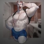  2020 a1tar abs anthro barazoku biceps bulge canid canine canis clothing digital_media_(artwork) dobermann domestic_dog erection erigun genital_outline hi_res looking_at_viewer male mammal muscular muscular_anthro muscular_male nipples open_mouth penis_outline pinscher solo tongue 