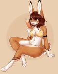  &lt;3 2020 4_toes anthro arm_support bikini bodily_fluids breasts brown_background brown_body brown_eyes brown_fur brown_hair brown_nose chest_tuft cleavage clothed clothing crotch_tuft female food fur hair hi_res lagomorph leporid lewdshiba mammal markings multicolored_body multicolored_fur navel orange_body orange_fur popsicle rabbit saliva saliva_string scut_tail short_hair signature simple_background sitting solo swimwear toes tongue tuft watermark white_body white_fur 