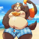  2020 anthro beach belly bernese_mountain_dog brown_body brown_fur bulge canid canine canis clothing domestic_dog fur hi_res humanoid_hands kemono male mammal molosser moobs mountain_dog nipples outside overweight overweight_anthro overweight_male seaside solo suishou0602 swimwear swiss_mountain_dog white_body white_fur 