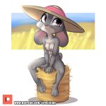 absurd_res anthro areola bodily_fluids breasts clothing coffee_cup disney female front_view full-length_portrait hat hat_only hay hay_bale headgear headwear hi_res judy_hopps lagomorph leporid looking_up mammal mostly_nude nipples portrait purple_eyes rabbit siroc sitting solo straw_hat sweat zootopia 