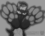  anthro foot_focus hi_res male pawpads paws pawzzhky wof 
