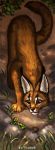  2020 4_toes brown_body brown_fur caracal caracal_(genus) digital_media_(artwork) felid feline flashw fur grass lizard mammal orange_body orange_eyes orange_fur paws reptile scalie toes 