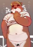  2020 anthro balls belly blush brown_body brown_fur censored clothing flaccid fur genitals hat headgear headwear hi_res humanoid_hands kemono male mammal navel overweight overweight_anthro overweight_male penis rei_illustrator shirt solo topwear ursid white_body white_fur 