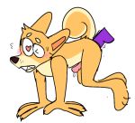  &lt;3 &lt;3_eyes all_fours anal anal_penetration anthro blush bodily_fluids canid canine canis dildo dildo_in_ass doggystyle domestic_dog erection from_behind_position genital_fluids genitals hawtdawg_(artist) hawtdawg_(character) male male_penetrated mammal nude penetration penis sex sex_toy shiba_inu simple_background solo solo_focus spitz sweat 