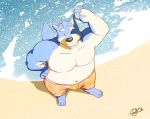  2015 anthro beach belly blue_body blue_fur bulge canid canine canis clothing domestic_dog fur humanoid_hands male mammal outside overweight overweight_anthro overweight_male seaside solo swimwear tail_person water 