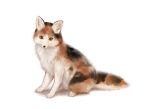  2018 absurd_res ambiguous_gender black_eyes black_nose brown_body brown_fur canid canine domestic_cat felid feline felis feral fox fur hi_res hybrid inner_ear_fluff looking_at_viewer mammal simple_background solo sukemyon tuft whiskers white_background 