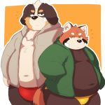  2020 96tning ailurid anthro belly bernese_mountain_dog black_body black_fur brown_body brown_fur bulge canid canine canis clothing domestic_dog duo fur hoodie kemono male mammal molosser mountain_dog navel overweight overweight_male red_panda simple_background swiss_mountain_dog topwear underwear white_body white_fur 