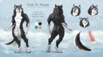  anthro canid canine canis domestic_dog erthy3d genitals husky male mammal model_sheet nordic_sled_dog patreon penis simple_background solo spitz standing 