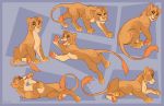  2020 4_toes blue_eyes digital_media_(artwork) eyebrows eyelashes felid female feral fur hi_res kitchiki lion mammal orange_body orange_fur pantherine paws smile solo tan_body tan_fur toes 