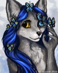  2020 anthro arthropod black_nose blue_hair butterfly canid canine canis digital_media_(artwork) female flashw fur grey_body grey_fur hair insect lepidopteran mammal nude wolf yellow_eyes 