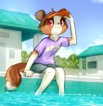  2020 anthro bottomwear brown_body brown_fur brown_hair building canid canine canis clothed clothing cloud digital_media_(artwork) domestic_dog female fur hair headgear hi_res kemono looking_at_viewer mammal outside paws pyritie red_eyes shirt shorts sky smile solo swimming_pool tan_body tan_fur topwear visor water 