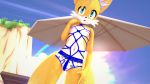  16:9 anthro bdsm bodily_fluids bondage bound briefs canid canine clothed clothing cum fox fusionxglave genital_fluids hair hi_res looking_at_viewer male mammal miles_prower nipples rope rope_around_balls rope_bondage rope_harness simple_background solo sonic_the_hedgehog_(series) submissive submissive_male tears topless underwear widescreen 