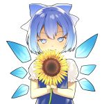  1girl aoi_tsunami bangs blue_bow blue_dress blue_eyes blue_hair blue_wings blush bow cirno closed_mouth commentary_request detached_wings dress eyebrows_visible_through_hair flower hair_bow highres holding holding_flower ice ice_wings looking_at_viewer puffy_short_sleeves puffy_sleeves shirt short_sleeves simple_background sleeveless sleeveless_dress solo sunflower touhou upper_body white_background white_shirt wings yellow_flower 