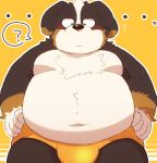  2020 96tning ? anthro belly bernese_mountain_dog black_body black_fur blush brown_body brown_fur bulge canid canine canis clothing domestic_dog fur humanoid_hands kemono male mammal molosser moobs mountain_dog overweight overweight_anthro overweight_male simple_background solo swiss_mountain_dog underwear white_body white_fur 