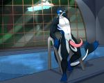  animal_genitalia animal_penis anthro athletic athletic_anthro athletic_male blue_eyes cetacean cetacean_penis darknesshaven delphinoid detailed_background erection feet forest genitals humanoid_feet inside leaning long_penis male mammal marine oceanic_dolphin orca penis pose prehensile_penis presenting presenting_penis solo standing swimming_pool toothed_whale tree wet 