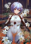  1girl ayanami_rei blue_hair bodysuit breasts faicha flower hairpods interface_headset lily_(flower) neon_genesis_evangelion pilot_suit plugsuit red_eyes short_hair sitting skin_tight small_breasts solo white_bodysuit white_flower 